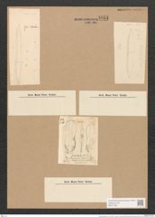 Nitzschia bilobata W. Sm. (de-Toni-Nr.: Genus 47, Species 2049) Zeichnungen Sammlung Grunow Nr. 4051 (NHMW-BOT-W0371881)